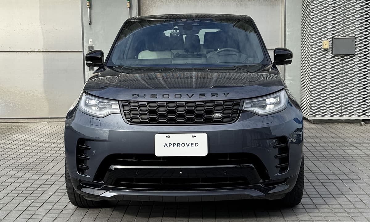 DISCOVERY D250 DYNAMIC SE