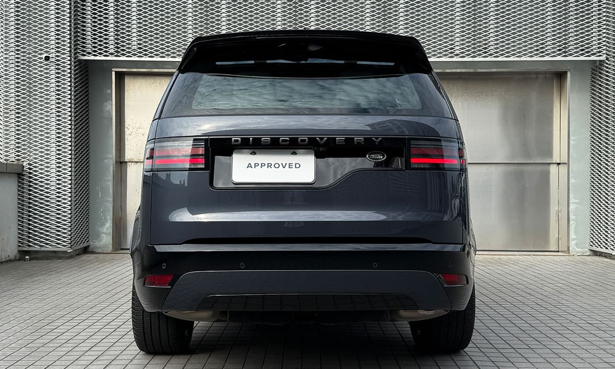 DISCOVERY D250 DYNAMIC SE