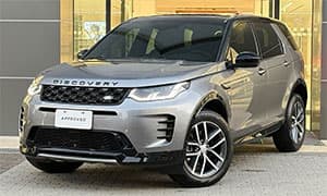 DISCOVERY SPORT P200 DYNAMIC SE 艾格峰灰