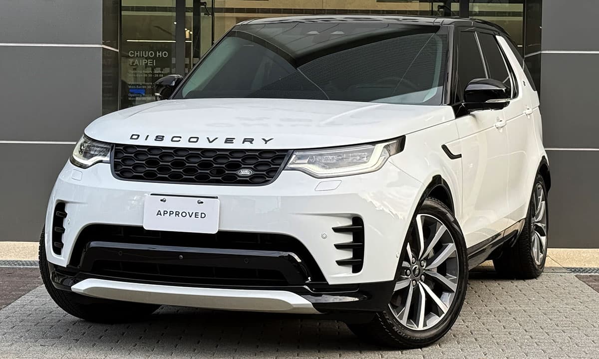 DISCOVERY D250 DYNAMIC SE