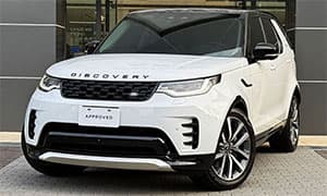 DISCOVERY D250 DYNAMIC SE 富士山白