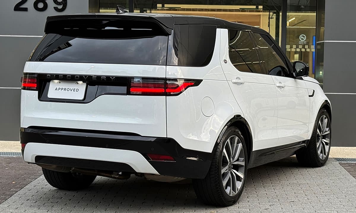 DISCOVERY D250 DYNAMIC SE