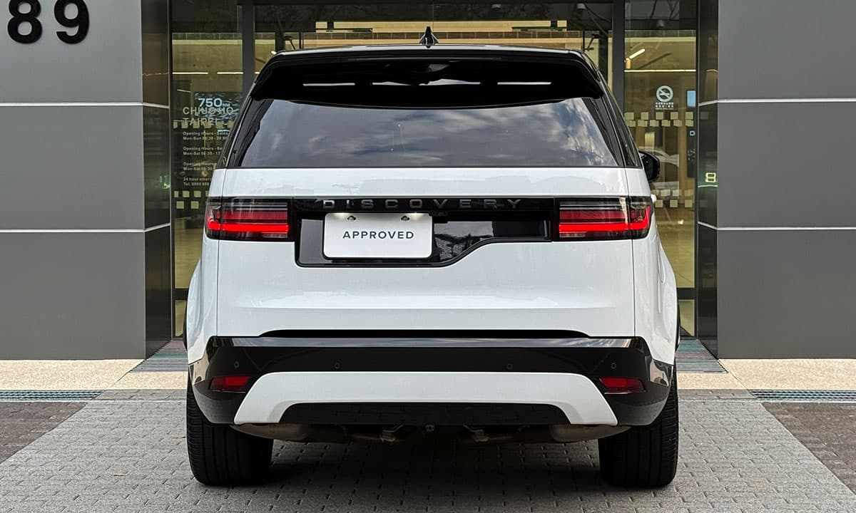 DISCOVERY D250 DYNAMIC SE