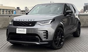 DISCOVERY D250 DYNAMIC SE 艾格峰灰