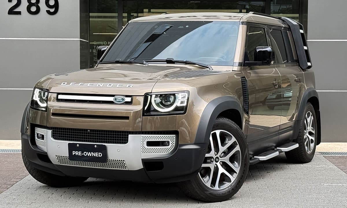 DEFENDER 110 P300 HSE