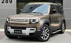 DEFENDER 110 P300 HSE 岡瓦那大陸石