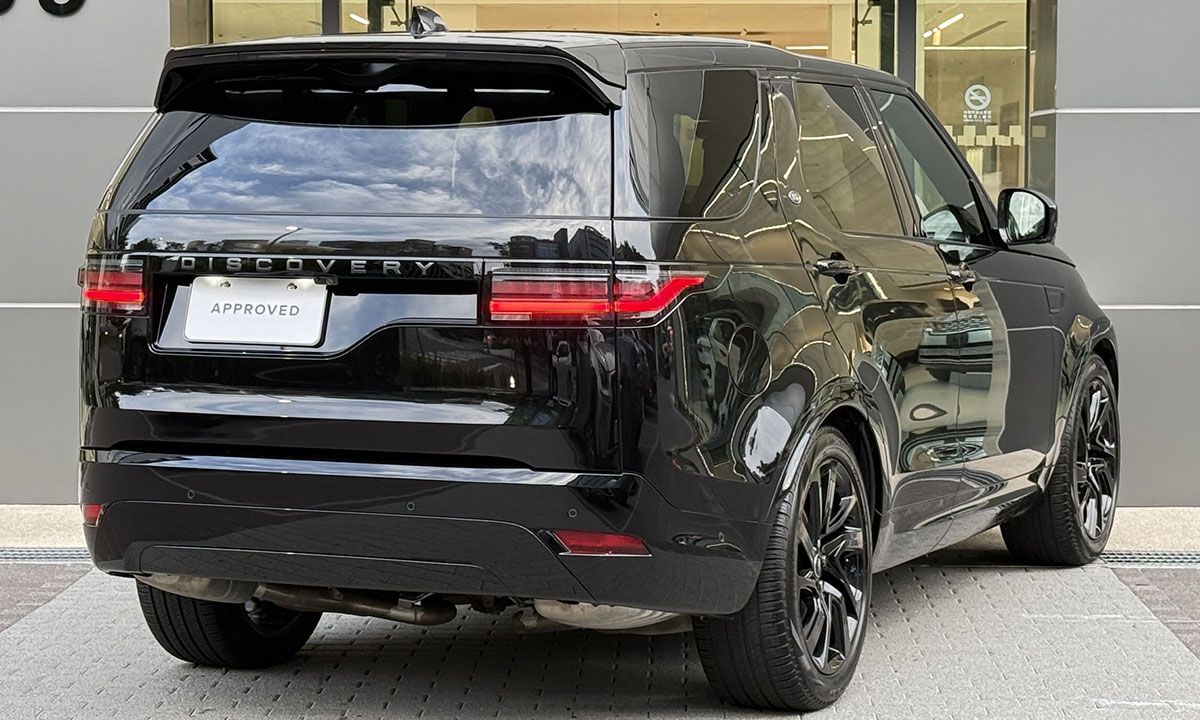 DISCOVERY D250 DYNAMIC SE
