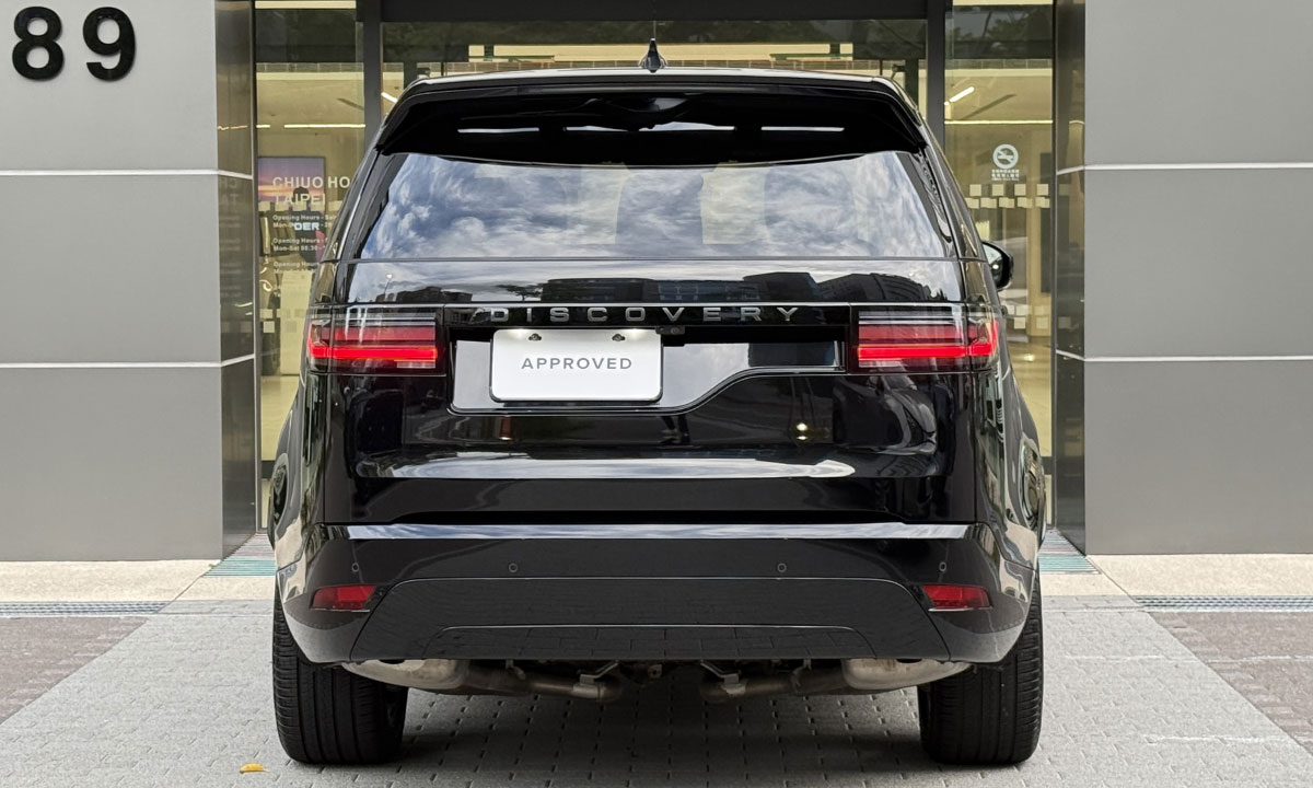 DISCOVERY D250 DYNAMIC SE
